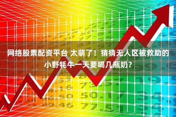 网络股票配资平台 太萌了！猜猜无人区被救助的小野牦牛一天要喝几瓶奶？