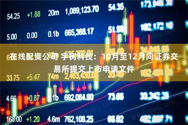 在线配资公司 宇树科技：10月至12月向证券交易所提交上市申请文件