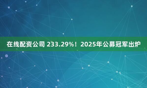在线配资公司 233.29%!2025年公募冠军出炉