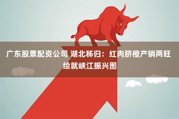 广东股票配资公司 湖北秭归：红肉脐橙产销两旺 绘就峡江振兴图